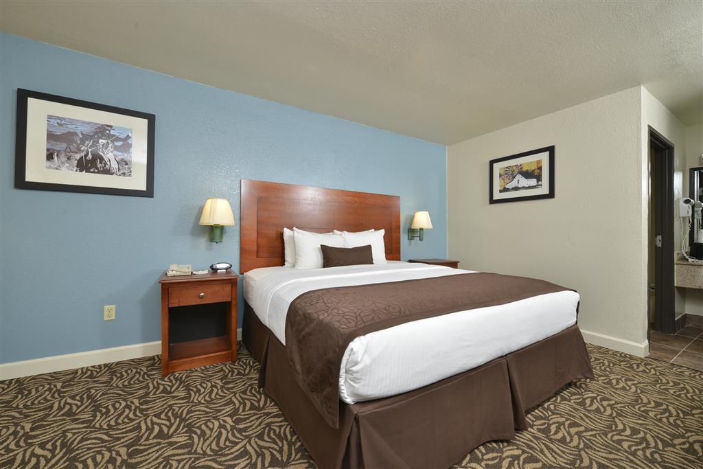 Best Western Regency Inn & Suites Gonzales Rom bilde